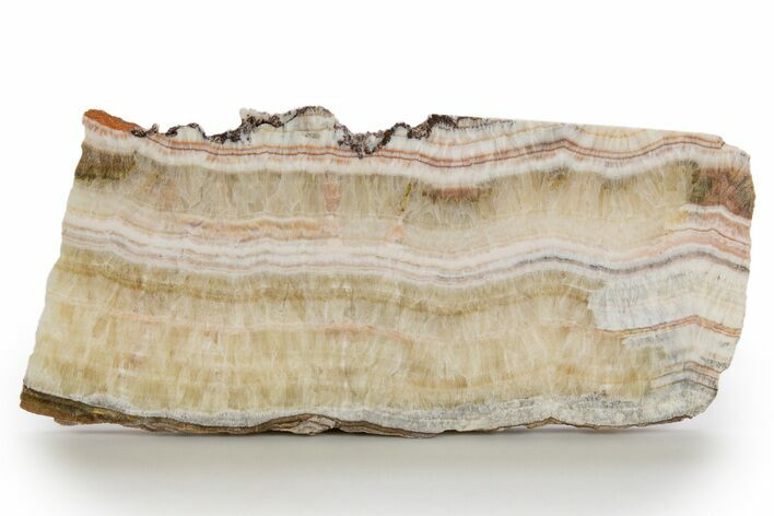 Polished Banded Travertine Slab - New Mexico #324326